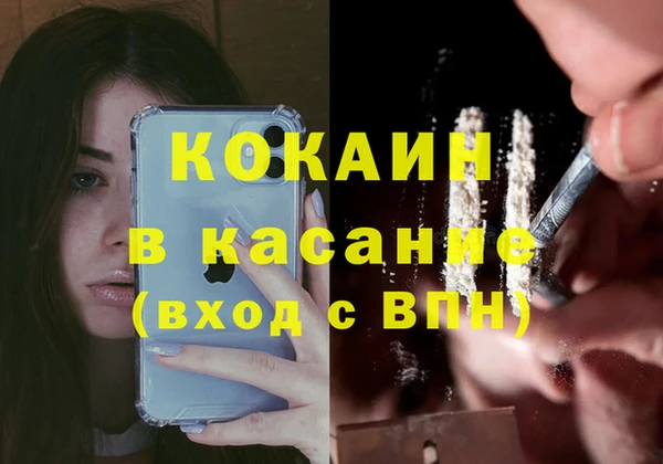 прущие грибы Алексеевка