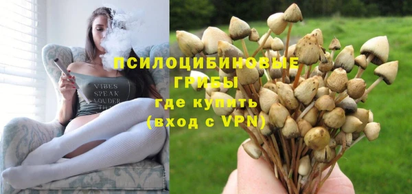 каннабис Алзамай