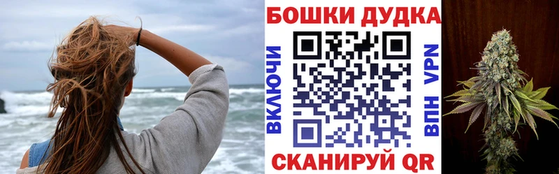 Конопля гибрид  MEGA   Тотьма 